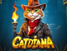 игровой автомат catidiana